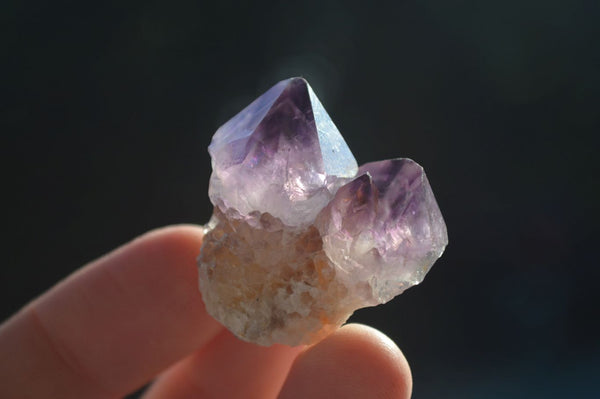 Natural Spirit Amethyst Quartz Crystal Specimens  x 35 From Boekenhouthoek, South Africa - Toprock Gemstones and Minerals 