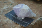 Natural Jacaranda Amethyst Single Crystal Specimens x 12 From Mumbwe, Zambia - Toprock Gemstones and Minerals 