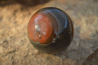 Polished  Polychrome / Picasso Jasper Spheres  x 3 From Madagascar - Toprock Gemstones and Minerals 