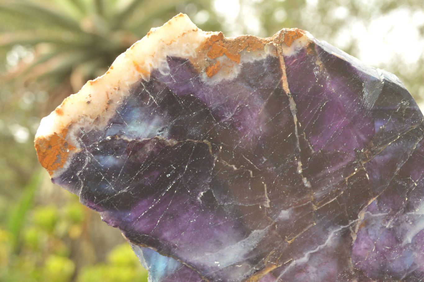 Polished Semi Translucent Watermelon Fluorite Slices x 2 From Uis, Namibia - TopRock