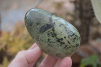Polished Leopard Stone Free Forms  x 6 From Zimbabwe - Toprock Gemstones and Minerals 