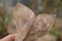 Natural Cascading Smokey Quartz Clusters x 3 From Luena, Congo - Toprock Gemstones and Minerals 