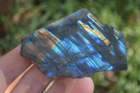 Polished One Side Polished Labradorite Slices  x 12 From Madagascar - Toprock Gemstones and Minerals 