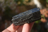 Natural Schorl Black Tourmaline Specimens x 6 From Erongo, Namibia - Toprock Gemstones and Minerals 