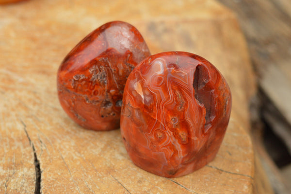 Polished Gorgeous Carnelian Agate Standing Free Forms  x 6 From Madagascar - TopRock