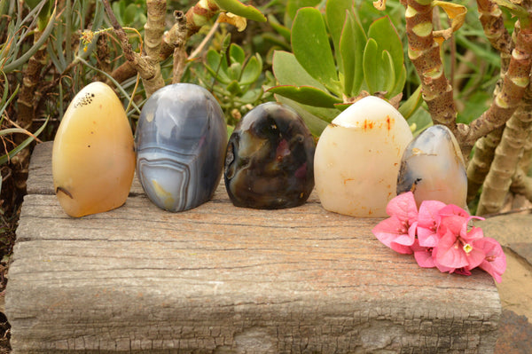 Polished Mixed Selection Of Agate Standing Free Forms  x 5 From Madagascar - TopRock
