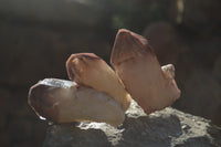 Natural Red Hematoid Quartz Specimens x 12 From Karoi, Zimbabwe - Toprock Gemstones and Minerals 