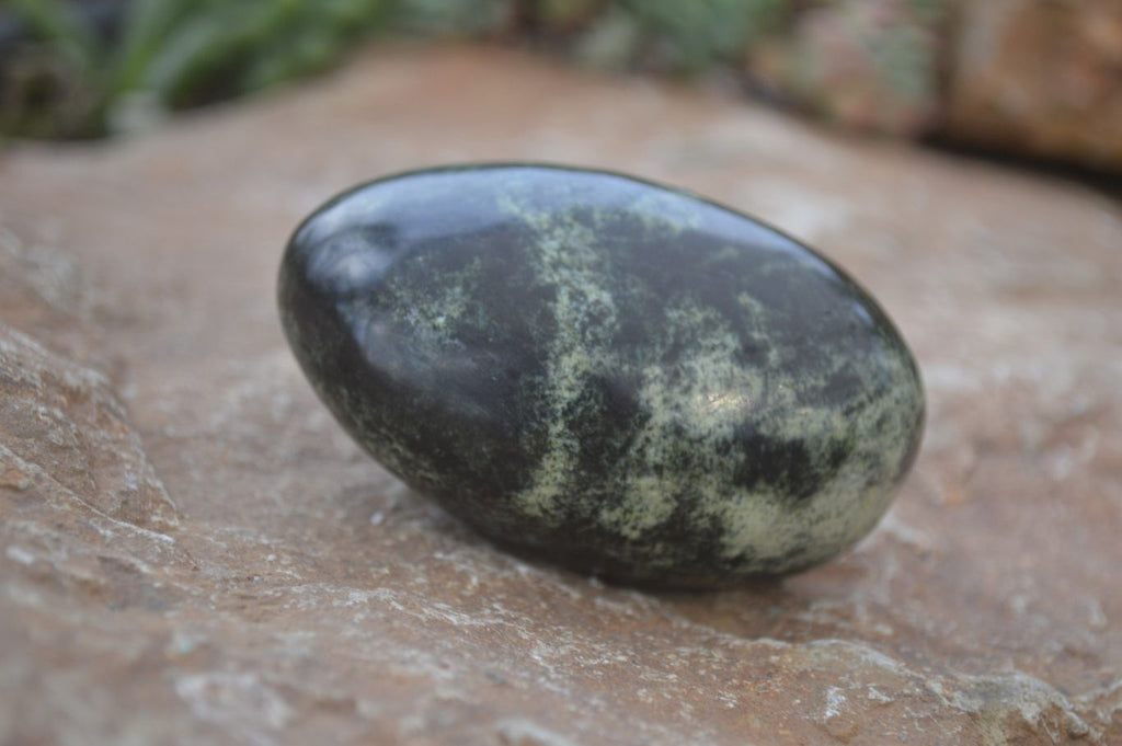 Polished Leopard Stone Free Forms  x 6 From Zimbabwe - Toprock Gemstones and Minerals 