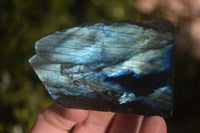 Polished One Side Polished Labradorite Slices  x 12 From Madagascar - Toprock Gemstones and Minerals 