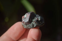 Natural Red Pyrope Garnet Crystals  x 70 From Zimbabwe