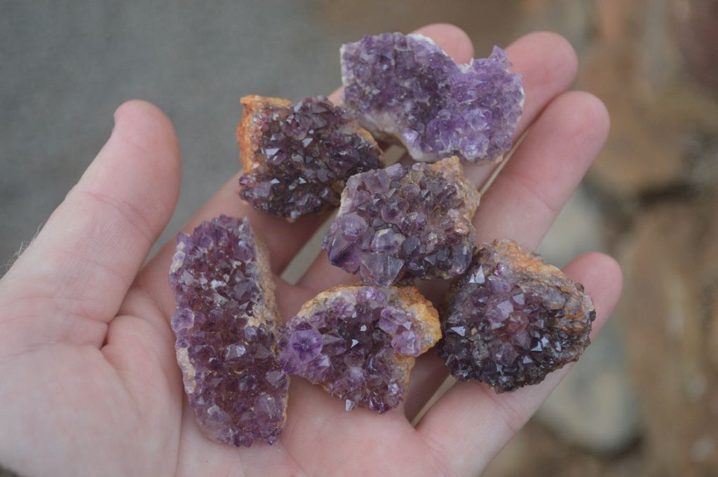 Natural Small Dark "Amethystos" Amethyst Clusters  x 35 From Kwaggafontein, South Africa - Toprock Gemstones and Minerals 