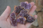 Natural Small Dark "Amethystos" Amethyst Clusters  x 35 From Kwaggafontein, South Africa - Toprock Gemstones and Minerals 