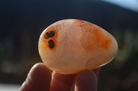 Polished Carnelian Agate Palm Stones  x 14 From Madagascar - Toprock Gemstones and Minerals 