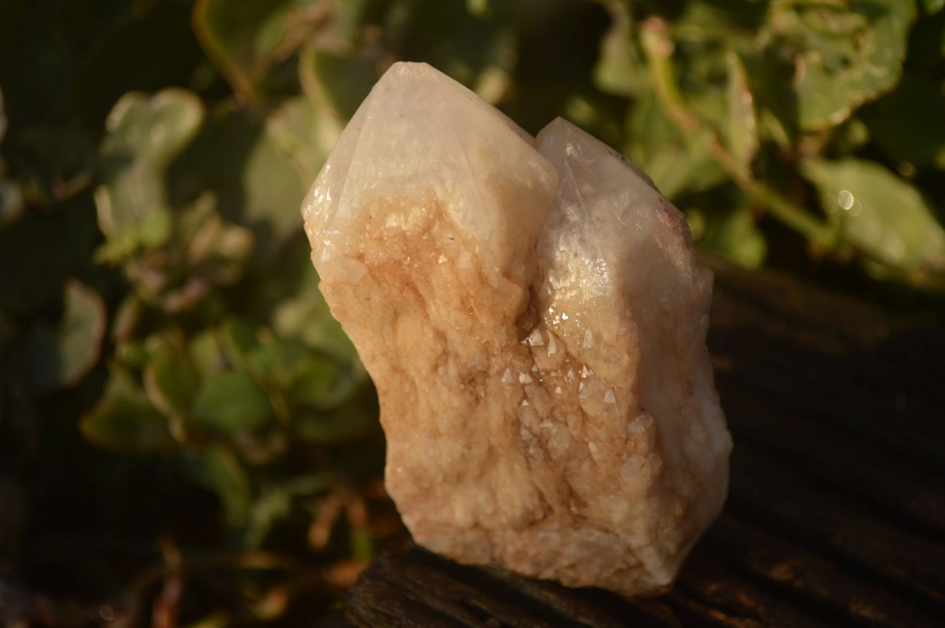 Natural Pink & Yellow Pineapple Candle Quartz Crystals x 6 From Madagascar - Toprock Gemstones and Minerals 