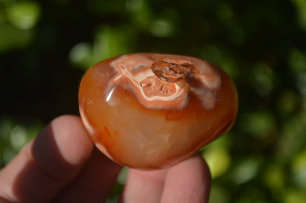 Polished Carnelian Agate Palm Stones  x 14 From Madagascar - Toprock Gemstones and Minerals 