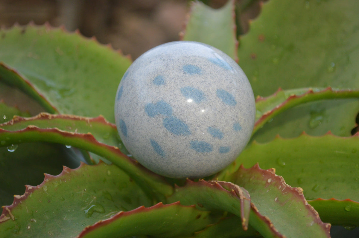 Polished Blue Spotted Spinel Quartz Spheres x 6 From Madagascar - Toprock Gemstones and Minerals 