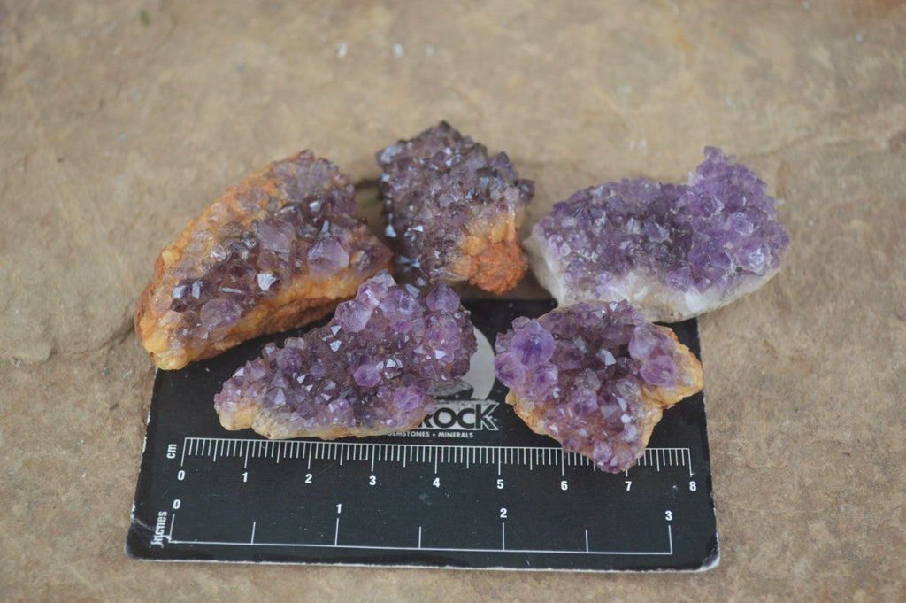 Natural Small Dark "Amethystos" Amethyst Clusters  x 35 From Kwaggafontein, South Africa - Toprock Gemstones and Minerals 
