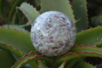 Polished Rubellite Pink Tourmaline Matrix Spheres x 2 From Madagascar - Toprock Gemstones and Minerals 