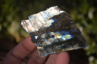 Polished One Side Polished Labradorite Slices  x 12 From Madagascar - Toprock Gemstones and Minerals 