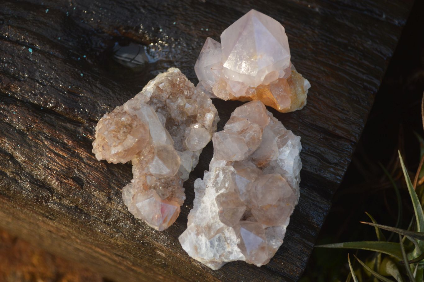 Natural Small Mixed Spirit Quartz Crystals & Clusters  x 35 From Boekenhouthoek, South Africa - Toprock Gemstones and Minerals 