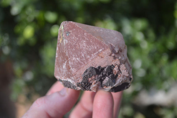 Natural Smokey Hematoid Quartz Crystals  x 12 From Madagascar - Toprock Gemstones and Minerals 
