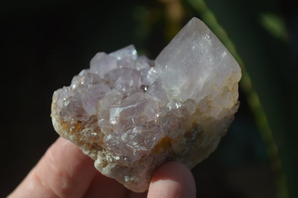 Natural Large Spirit Amethyst Crystals  x 3.5 Kg Lot  From Boekenhouthoek, South Africa