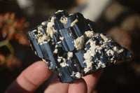 Natural Schorl Black Tourmaline Specimens x 6 From Erongo, Namibia - Toprock Gemstones and Minerals 