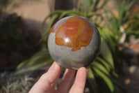 Polished Polychrome Jasper Spheres  x 2 From Madagascar - Toprock Gemstones and Minerals 