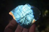 Polished One Side Polished Labradorite Slices  x 12 From Madagascar - Toprock Gemstones and Minerals 