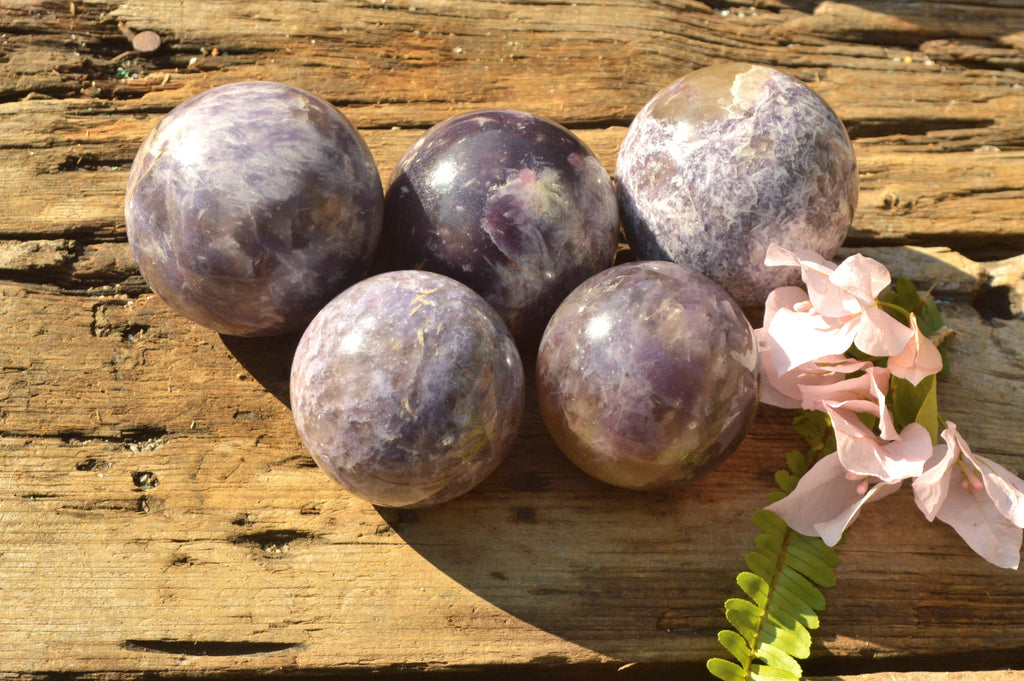 Polished Purple Lepidolite Spheres  x 5 From Madagascar - TopRock