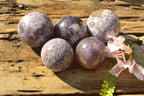 Polished Purple Lepidolite Spheres  x 5 From Madagascar - TopRock