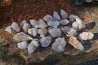 Natural Mixed Spirit Quartz Crystals & Clusters  x 35 From Boekenhouthoek, South Africa - Toprock Gemstones and Minerals 