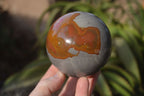Polished Polychrome Jasper Spheres  x 2 From Madagascar - Toprock Gemstones and Minerals 