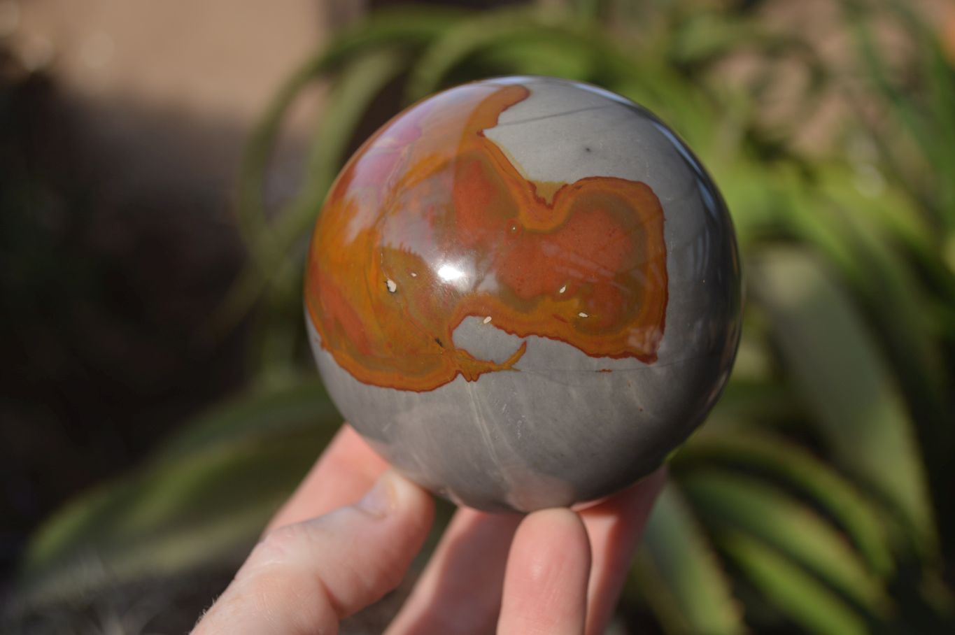 Polished Polychrome Jasper Spheres  x 2 From Madagascar - Toprock Gemstones and Minerals 