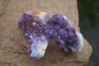 Natural Small Dark "Amethystos" Amethyst Clusters  x 35 From Kwaggafontein, South Africa - Toprock Gemstones and Minerals 