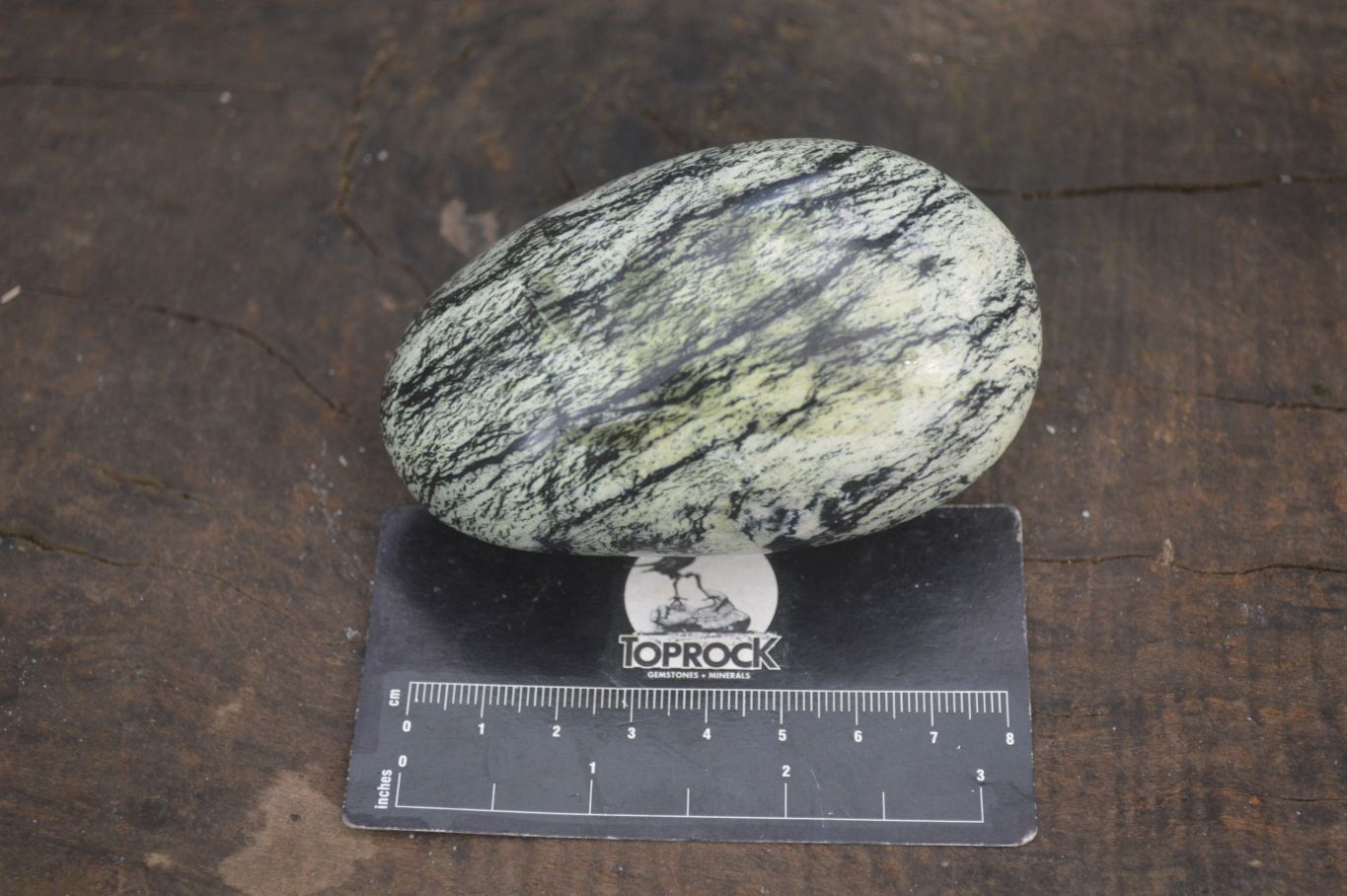 Polished Leopard Stone Free Forms  x 6 From Zimbabwe - Toprock Gemstones and Minerals 