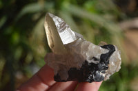 Natural Schorl Black Tourmaline Specimens x 6 From Erongo, Namibia - Toprock Gemstones and Minerals 