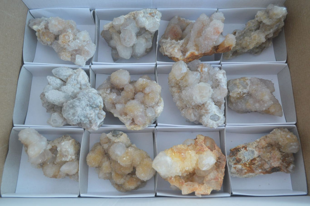 Natural Mixed Spirit Quartz Clusters x 12 From Boekenhouthoek, South Africa - Toprock Gemstones and Minerals 
