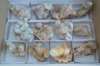 Natural Mixed Spirit Quartz Clusters x 12 From Boekenhouthoek, South Africa - Toprock Gemstones and Minerals 
