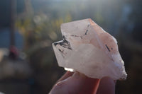Natural Smokey Hematoid Quartz Crystals  x 12 From Madagascar - Toprock Gemstones and Minerals 