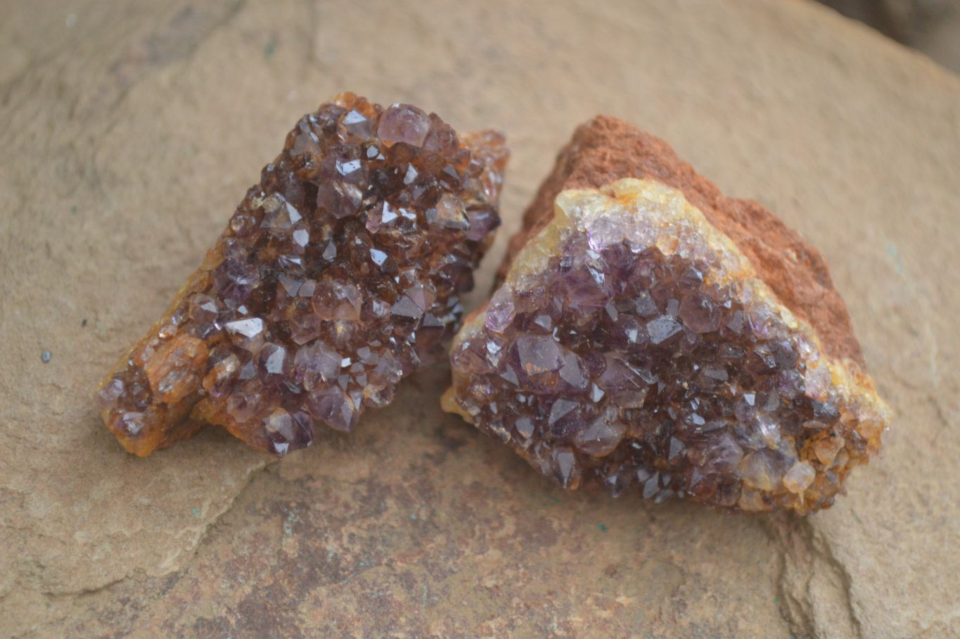 Natural Small Dark "Amethystos" Amethyst Clusters  x 35 From Kwaggafontein, South Africa - Toprock Gemstones and Minerals 