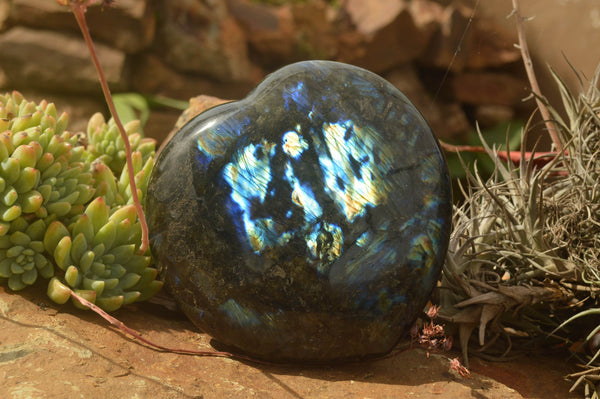 Polished Large Labradorite Heart  x 1 From Tulear, Madagascar - TopRock