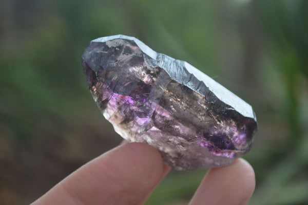 Natural Large Smokey Amethyst / Window Amethyst Crystals  x 12 From Chiredzi, Zimbabwe - Toprock Gemstones and Minerals 