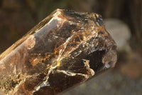 Polished  Large Morion Smokey Quartz Crystals  x 2 From Zimbabwe - Toprock Gemstones and Minerals 