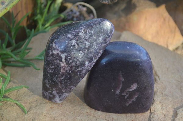 Polished Purple Lepidolite Standing Free Forms  x 2 From Zimbabwe - Toprock Gemstones and Minerals 