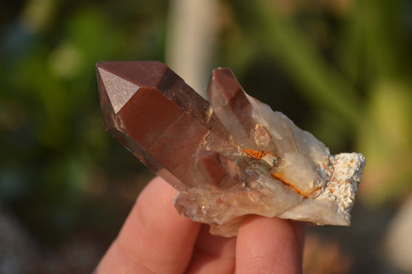 Natural Red Hematoid Quartz Specimens x 24 From Karoi, Zimbabwe - Toprock Gemstones and Minerals 