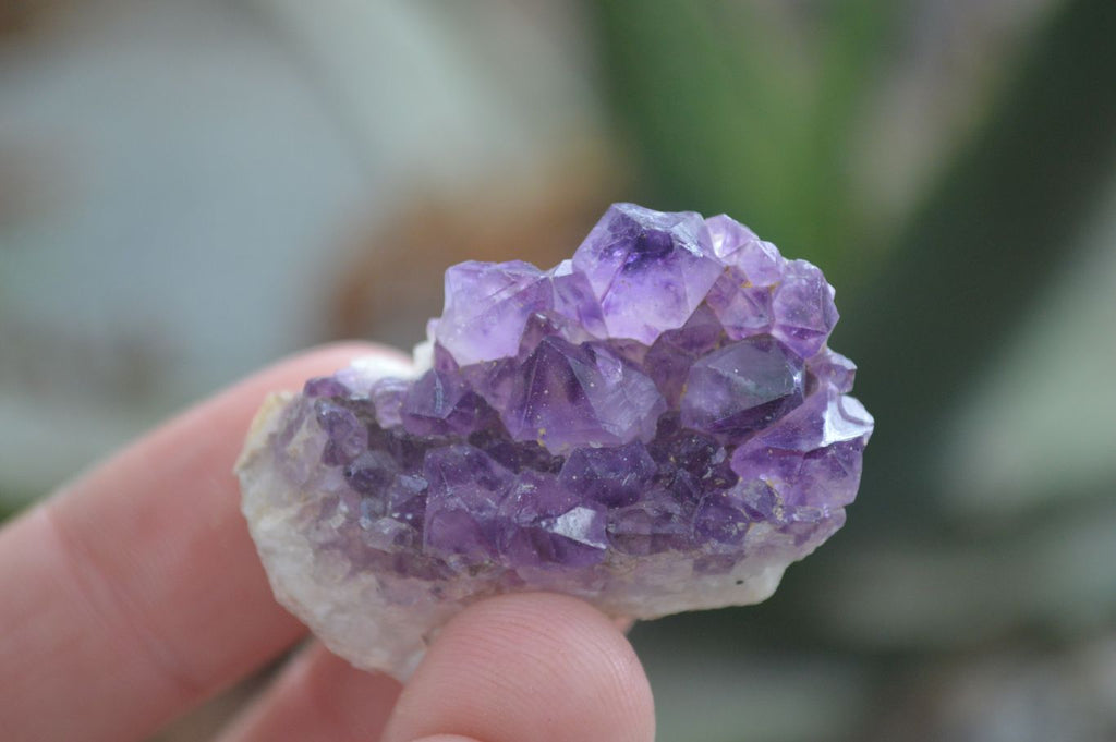 Natural Small Dark "Amethystos" Amethyst Clusters  x 35 From Kwaggafontein, South Africa - Toprock Gemstones and Minerals 