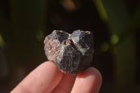 Natural Red Pyrope Garnet Crystals  x 70 From Zimbabwe