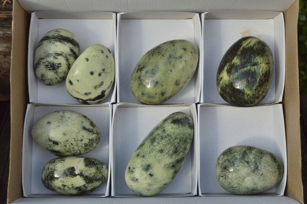 Polished Serpentine (Leopard Stone) Free Forms x 8 From Inyanga, Zimbabwe - TopRock