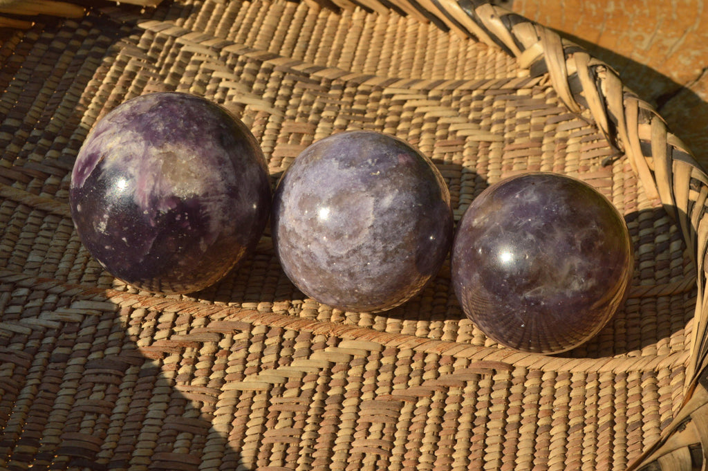 Polished Purple Lepidolite Spheres  x 5 From Madagascar - TopRock